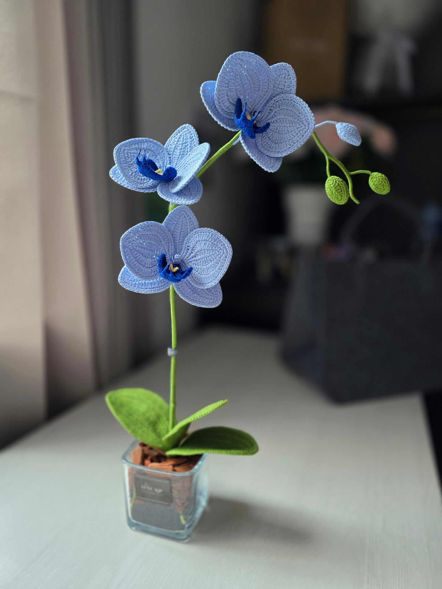 Designer orchids: sky blue and deep blue
