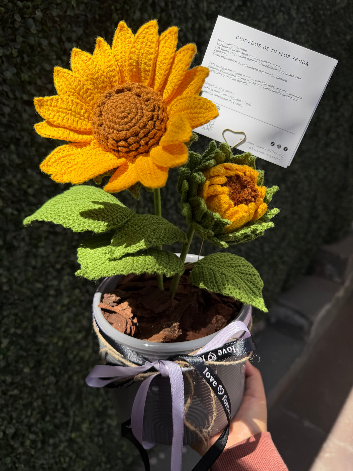 Botánica de Escritorio & Hogar  (Agenda cerrada hasta 28 de septiembre)