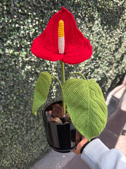 Crocheted Anthurium in Pot
