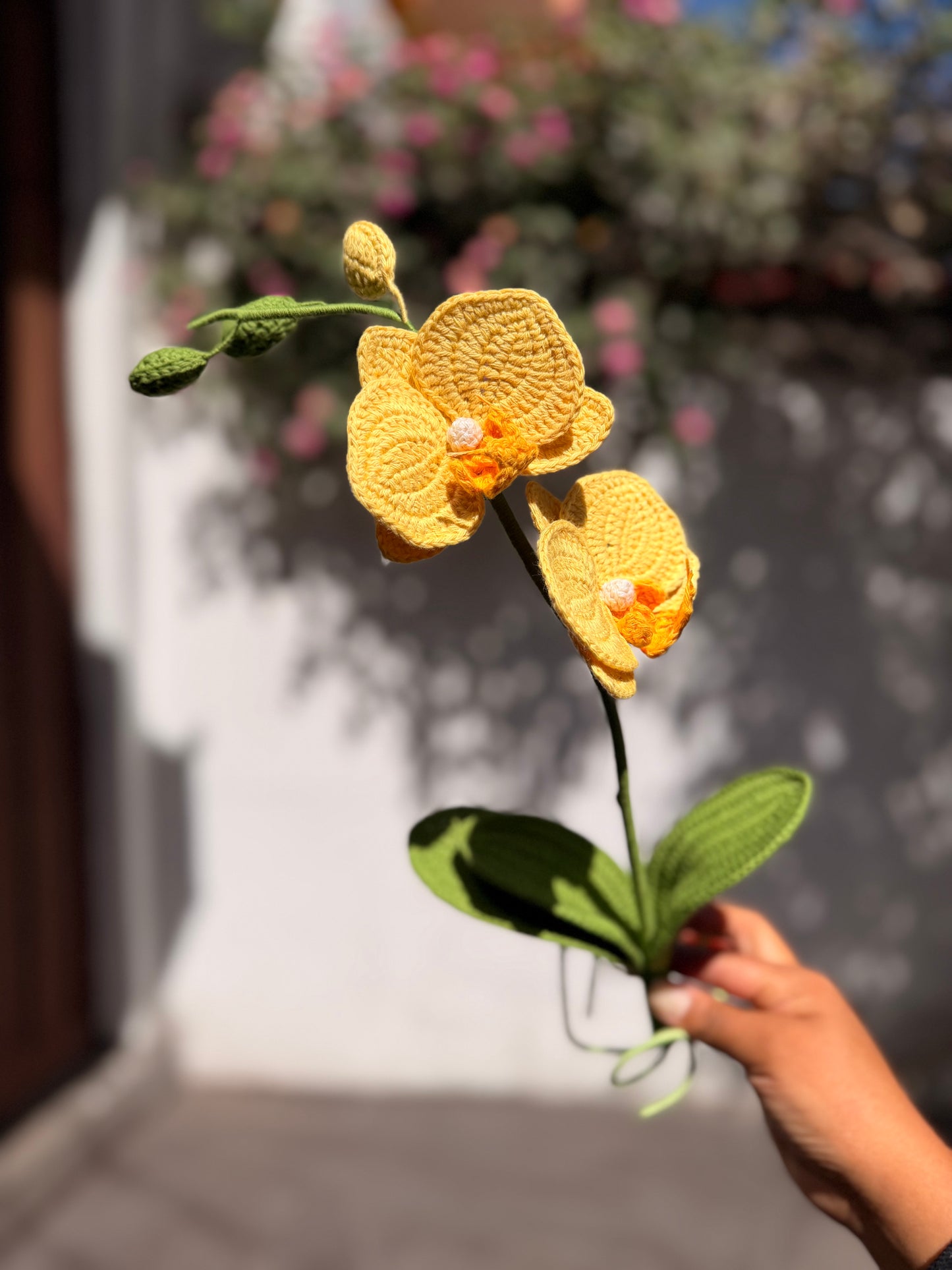 Orchids: Crystal Aura