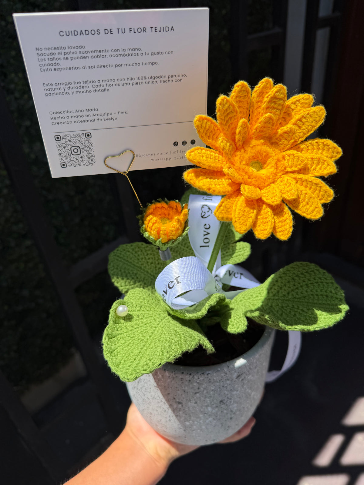 Gerbera Hermosa Primavera (S/189.00 soles)