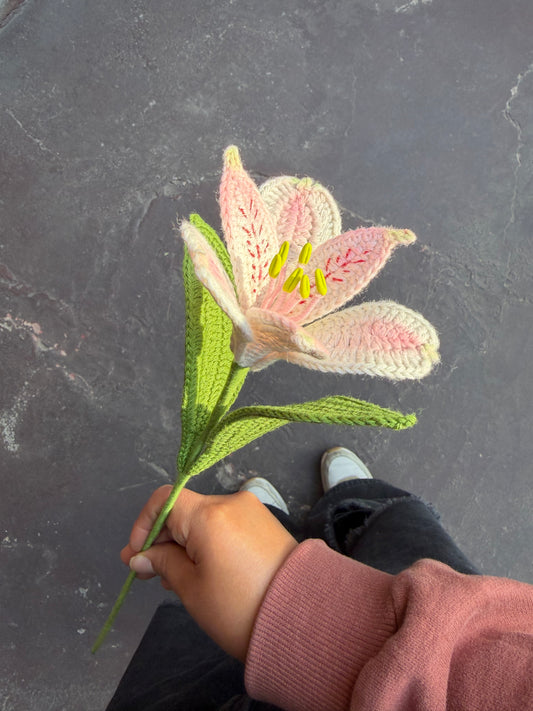 Astromelia Tejida | S/30.00 soles