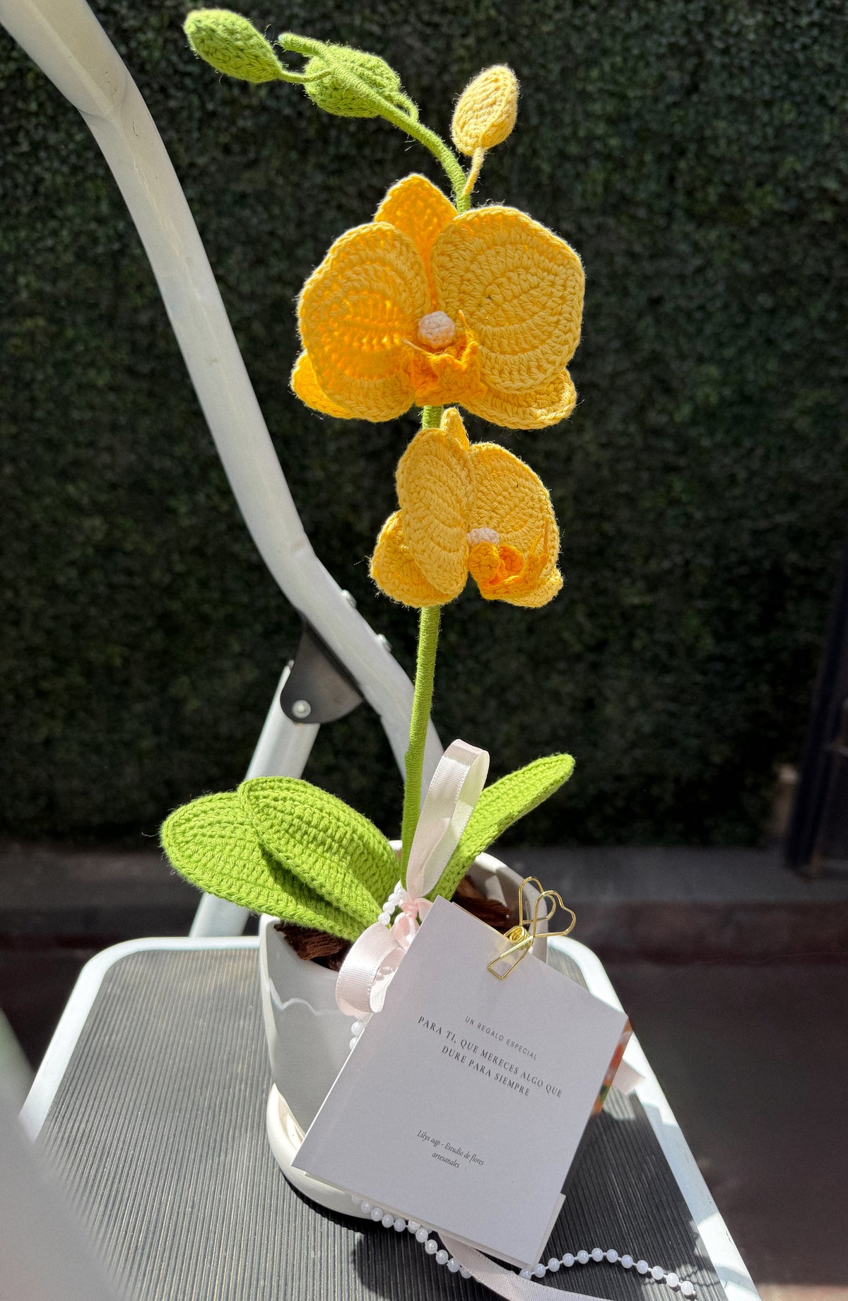 Mini Orquídea: Aura de Cristal (S/125.00 soles)