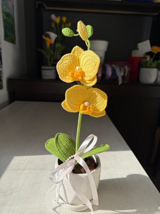 Mini Orquídea: Aura de Cristal (S/125.00 soles)
