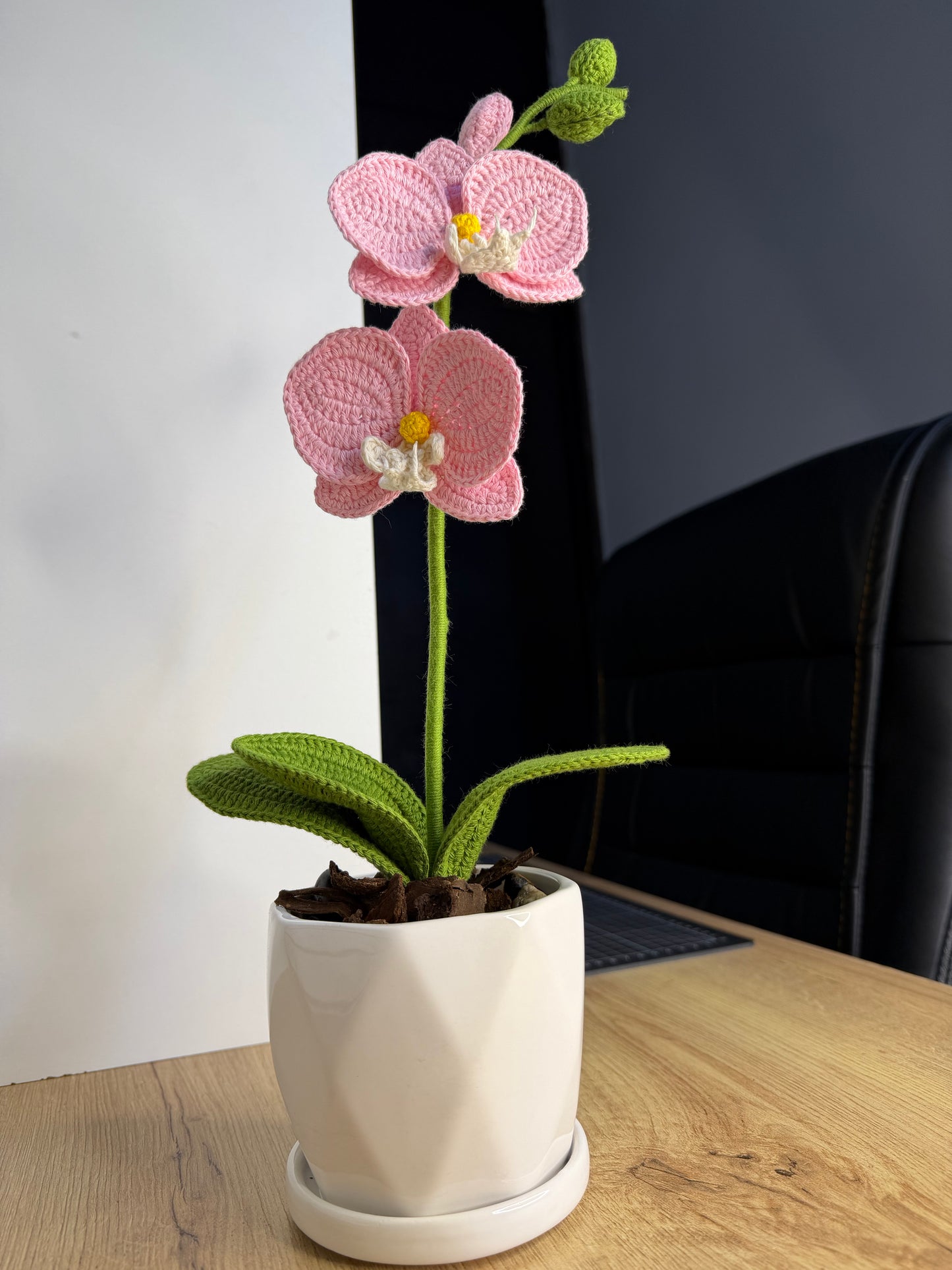 Orchids Sweet Calm mini version