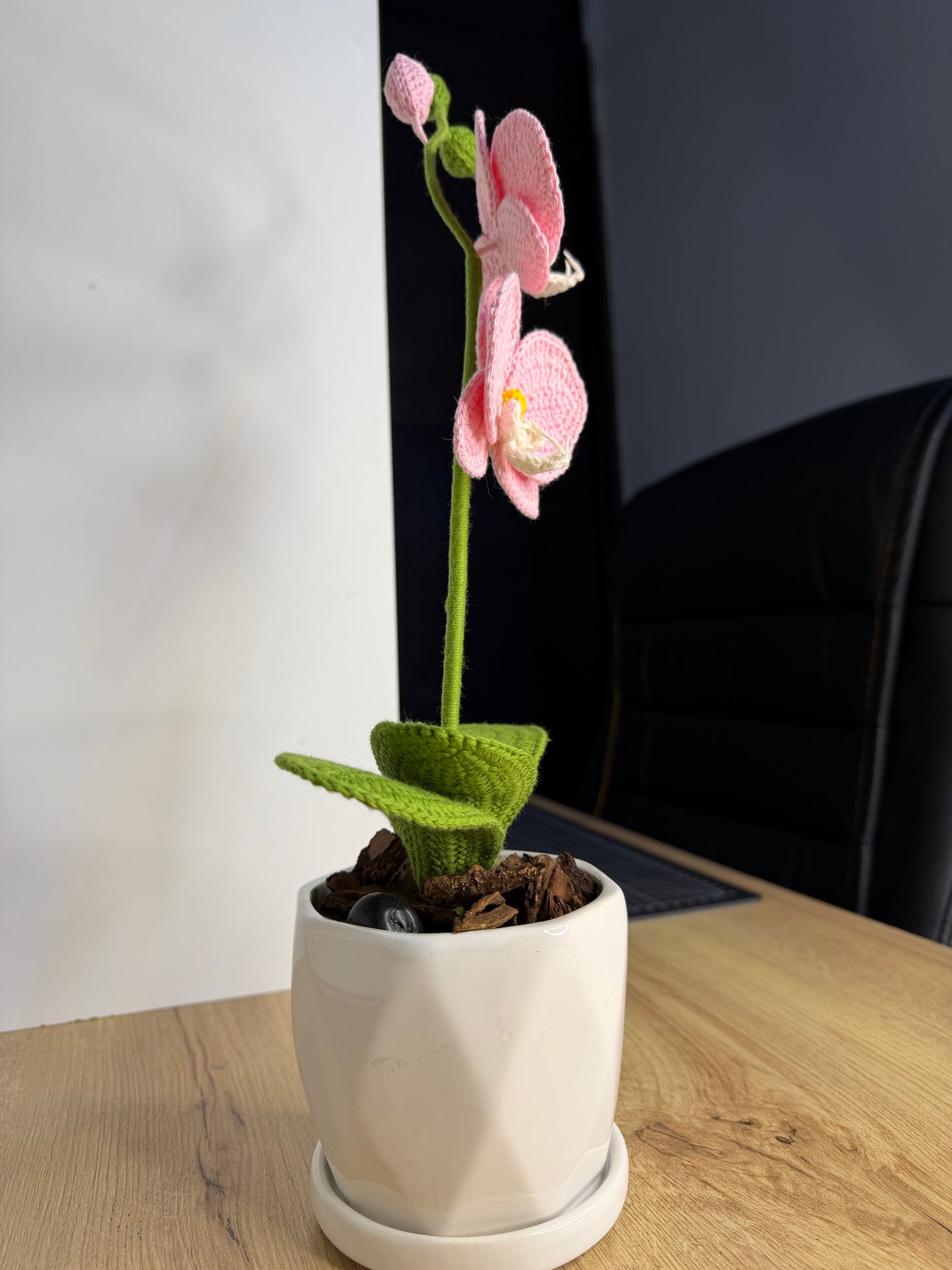 Orchids Sweet Calm mini version