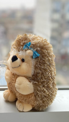 Musical hedgehog (I love you) 16 cm