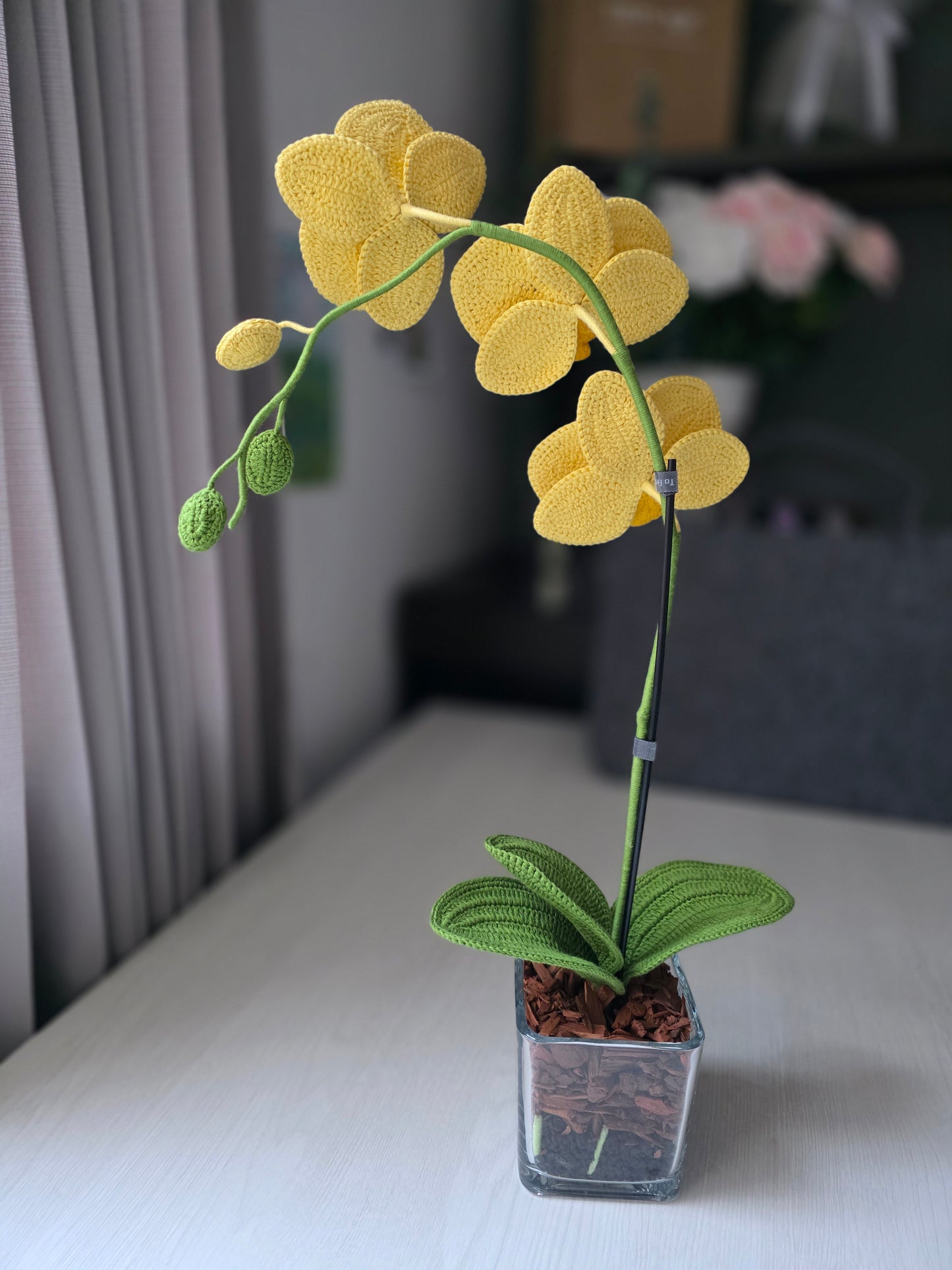 Orchids: Crystal Aura