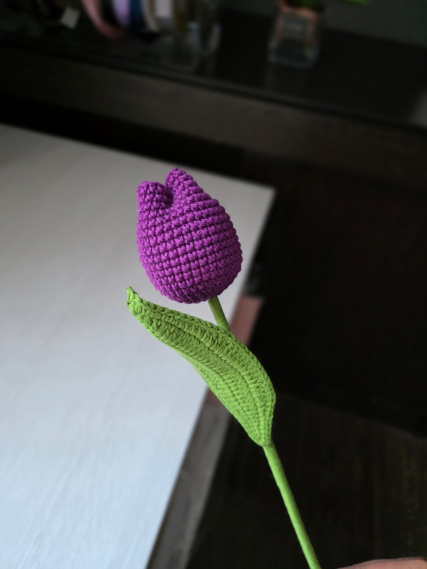 Closed tulip