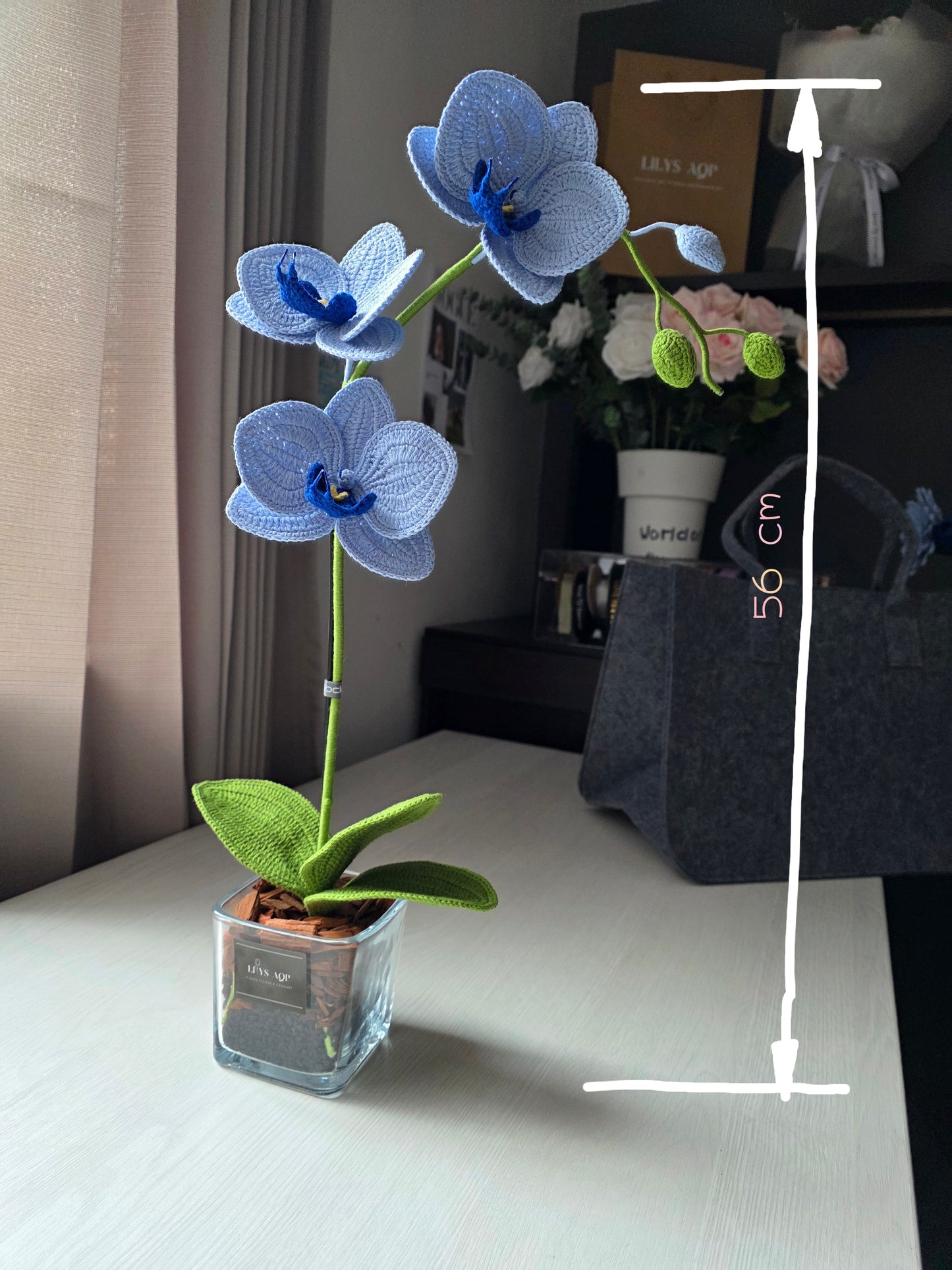 Designer orchids: sky blue and deep blue