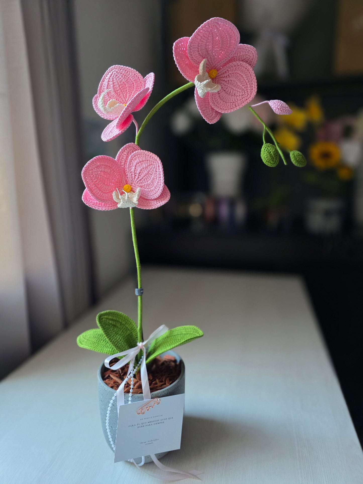 Orchids Sweet Calm