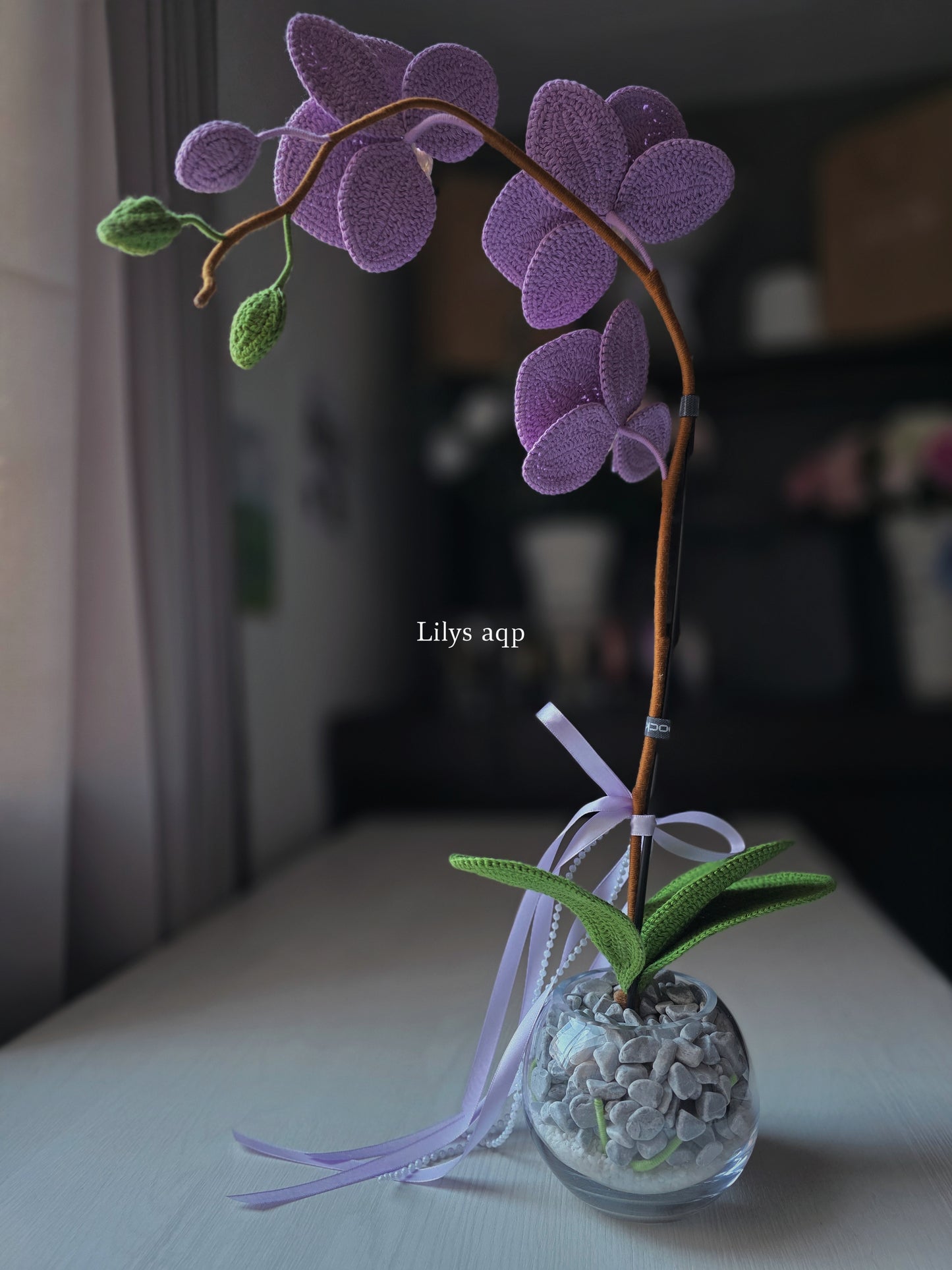 Orchids: Zen
