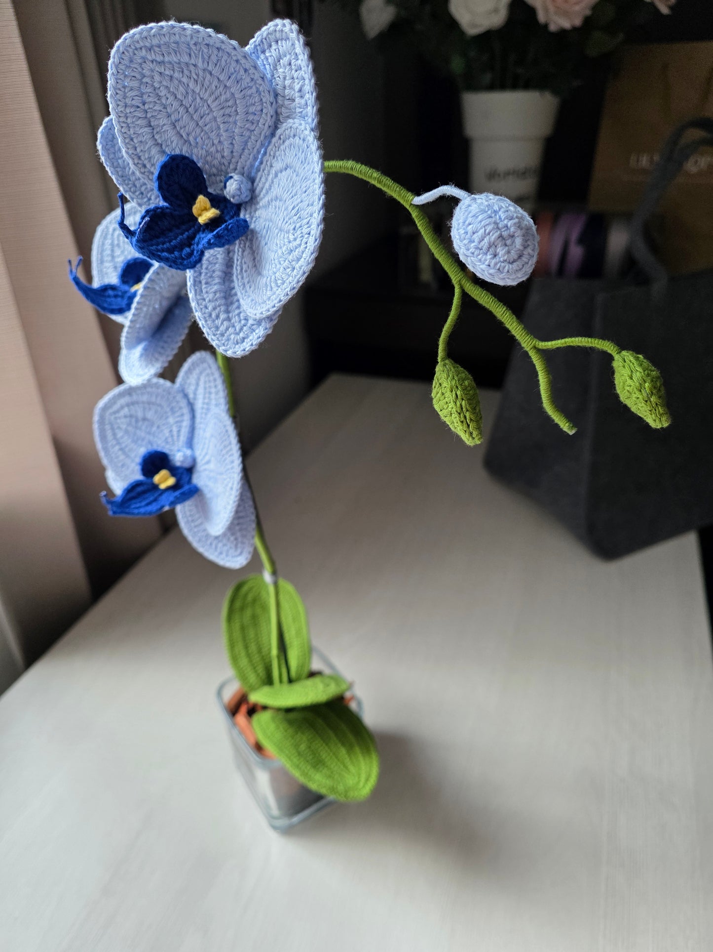 Designer orchids: sky blue and deep blue