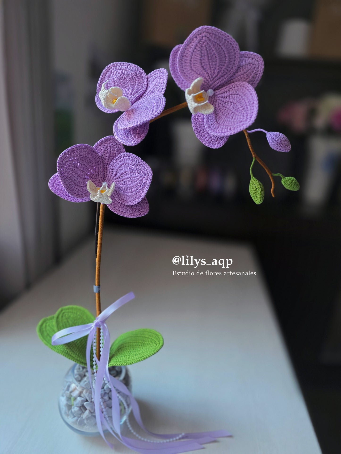 Orchids: Zen