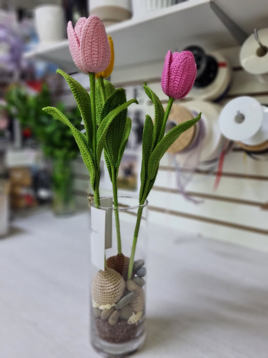 Tulipanes petit garden
