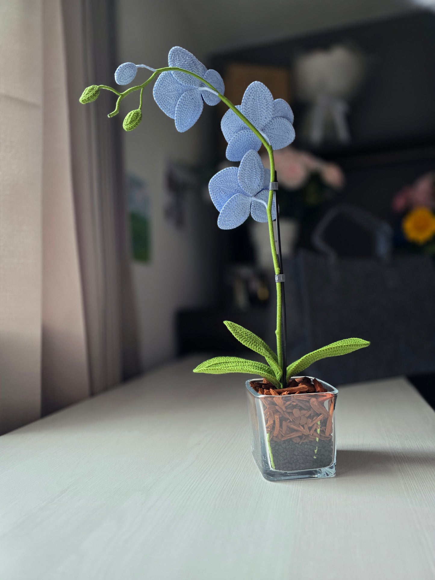 Designer orchids: sky blue and deep blue