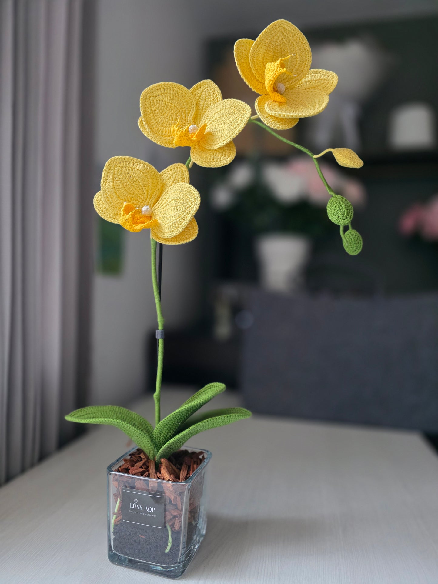 Orchids: Crystal Aura