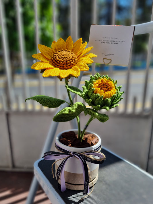 Días dorados - Girasol tejido en maceta