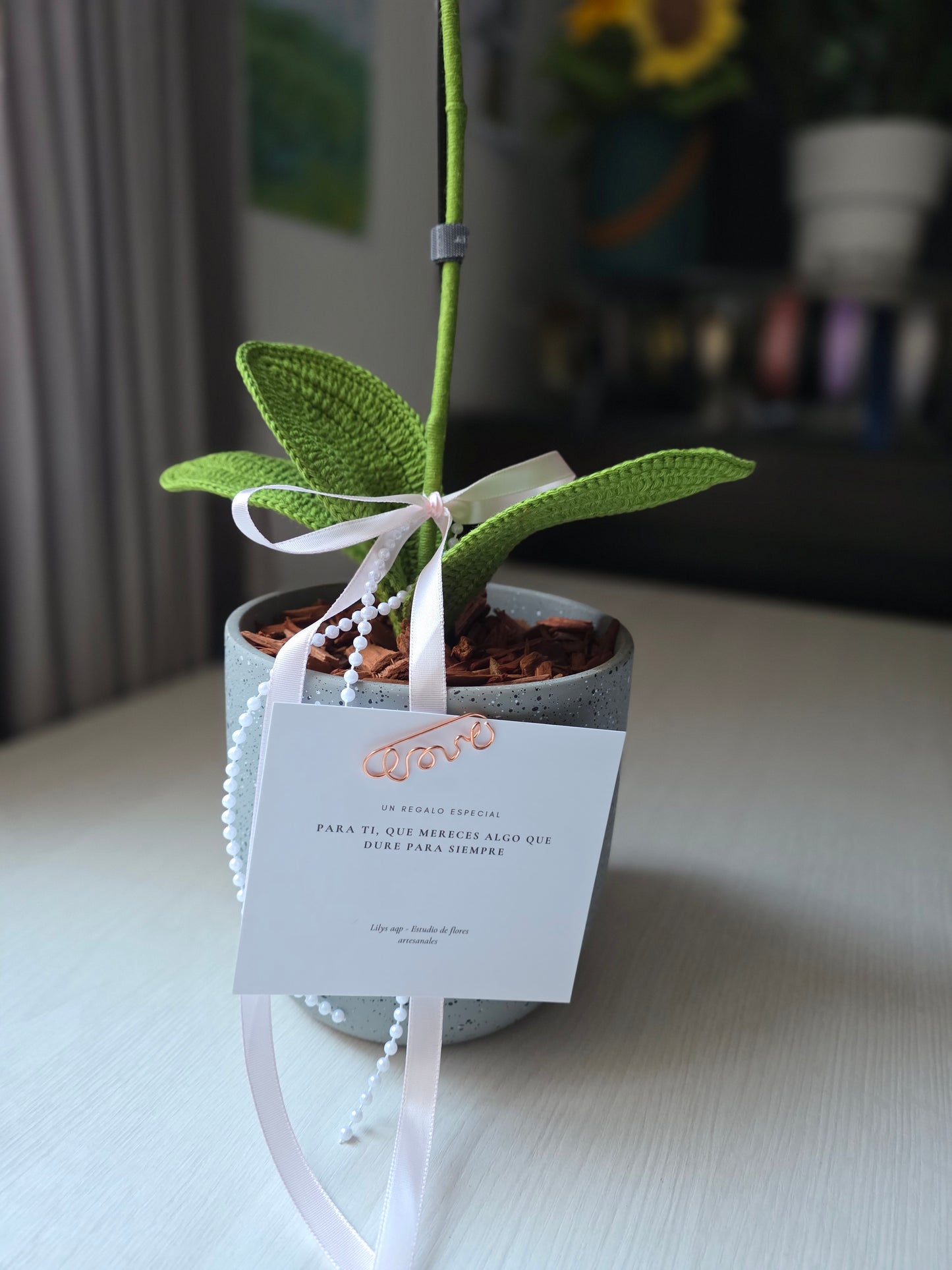 Orchids Sweet Calm