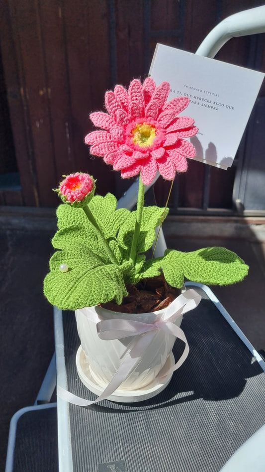 Gerbera tejida en maceta