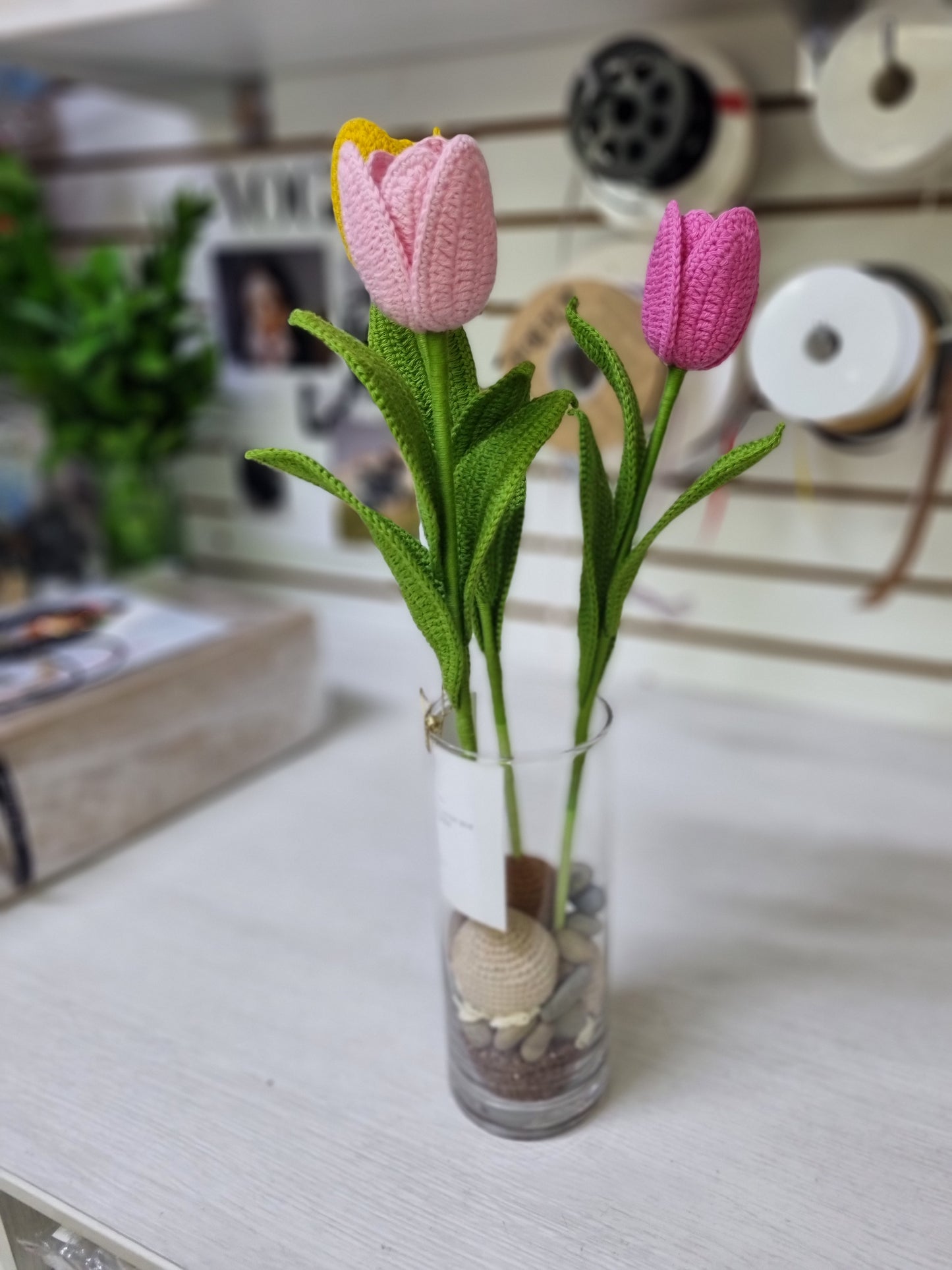 Tulipanes petit garden